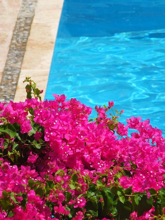 Hotel Villa Berk Fethiye Extérieur photo